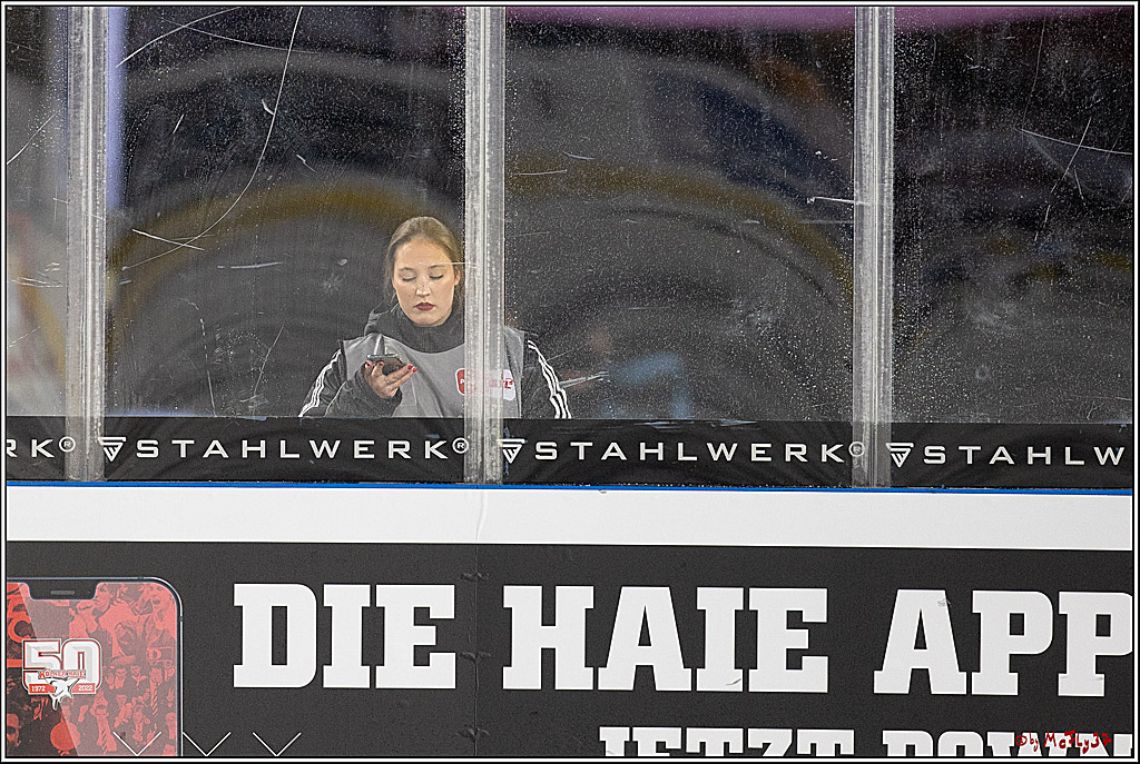 PENNY DEL;  Kölner Haie - Fischtown Pinguins; Köln, 22.12.2022